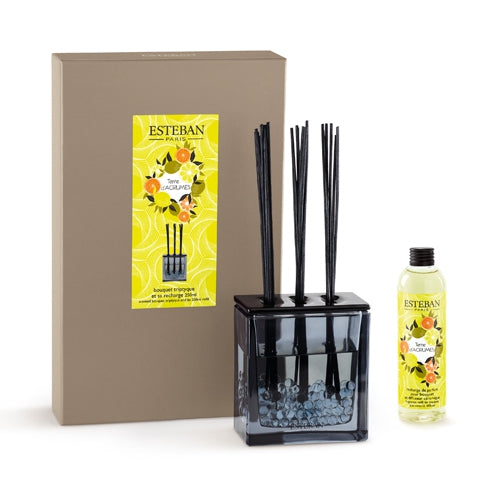 Home Fragrance Bouquet and Refill Terre d'agrumes 200ml