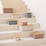 Box Basket Rectangular Medium with Bamboo Cover 24x18x11cm