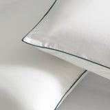 Pillow Anti Allergen AlerPro