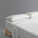 Pillow Anti Allergen AlerPro
