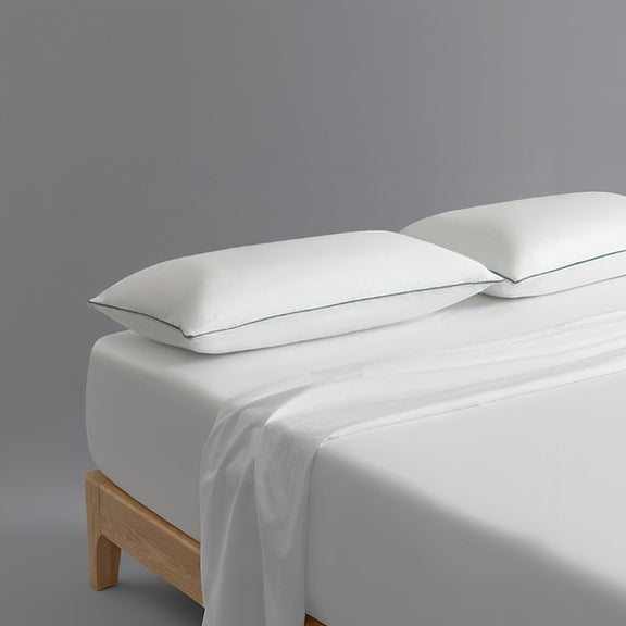 Pillow Anti Allergen AlerPro