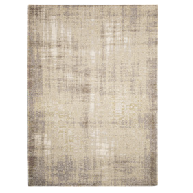Rug Antik Chenille Beige 200x290cm