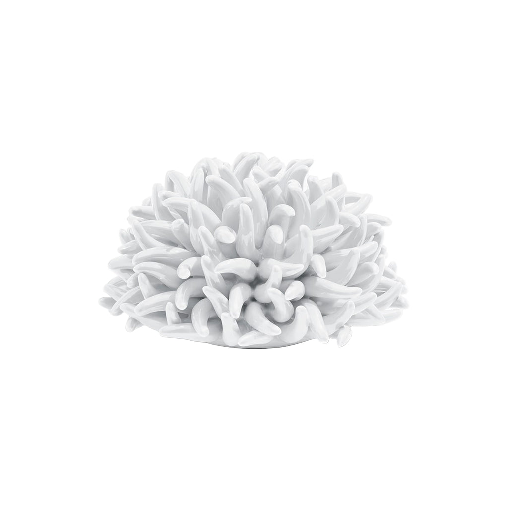Figure Coral Anemone White 18x18x10cm