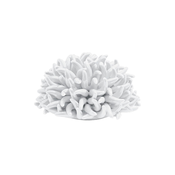 Figure Coral Anemone White 12x12x8cm