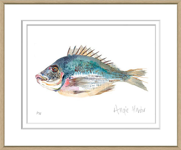 Art in Oak Frame "Fish" 47x58cm