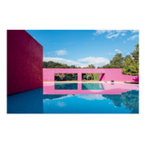 Book Resident Dog 28x22x3cm