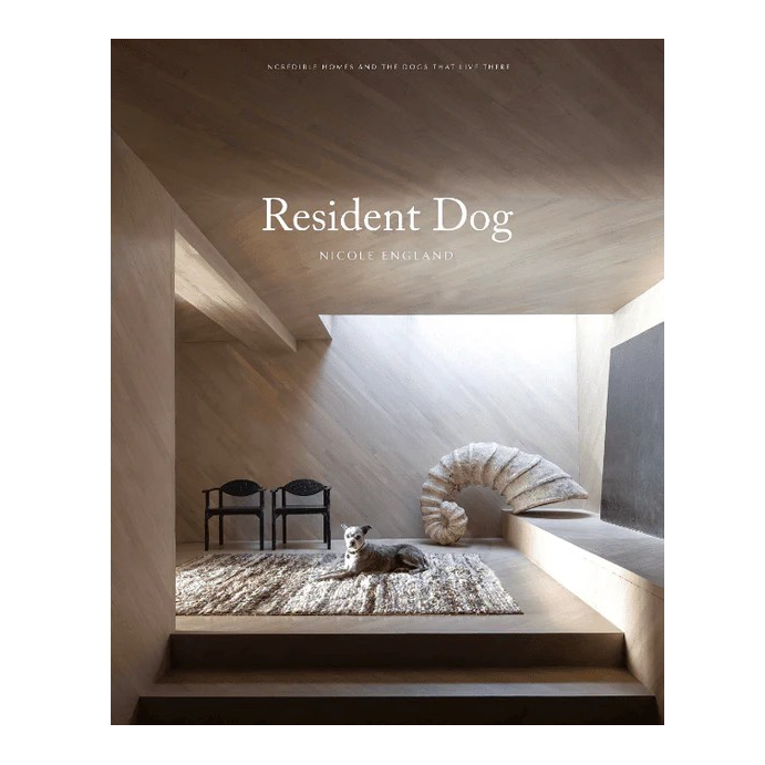 Book Resident Dog 28x22x3cm