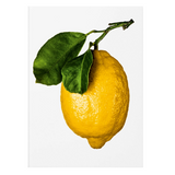 Book Lemon 29x21x3cm