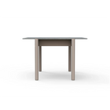 Nara High Center Table