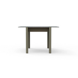 Nara High Center Table