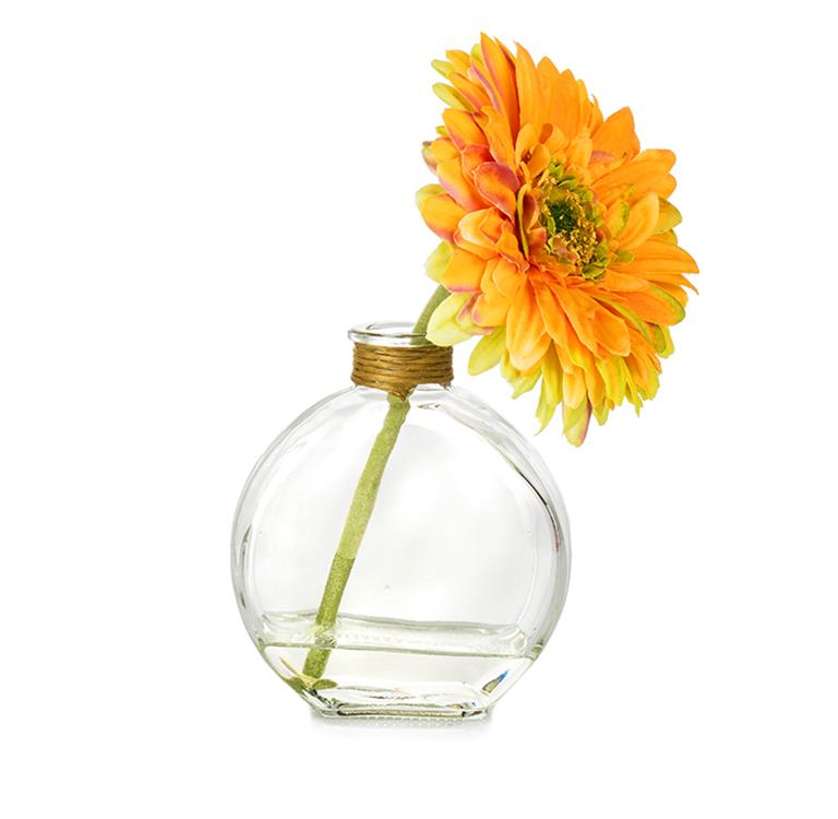 Flower Daisy Orange & Green in Glass Bottle