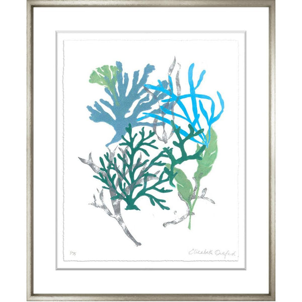 Art in Chrome Frame "Corals I" Image 5 66x76cm