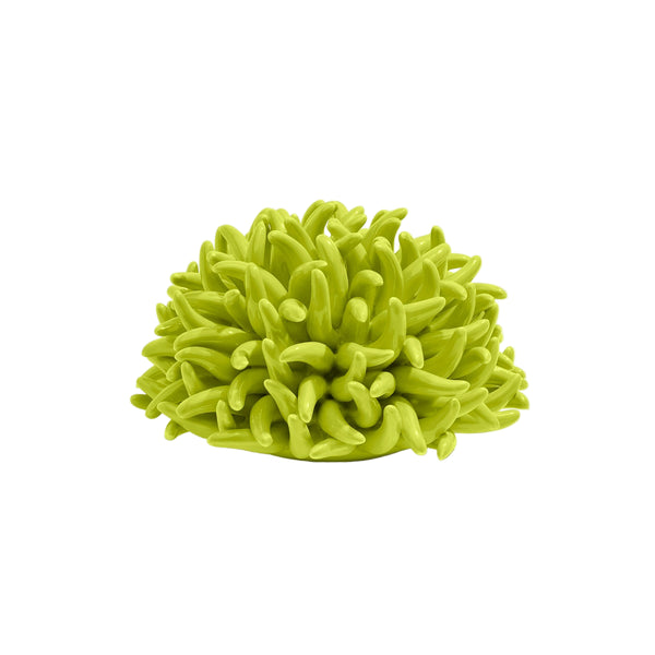 Figure Coral Anemone Acid Green 20x20x15cm